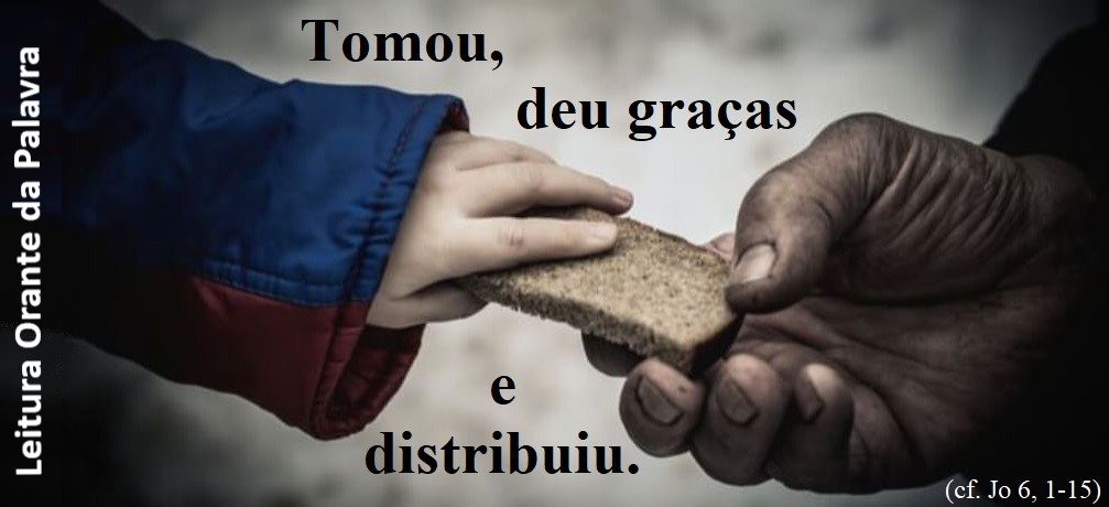 17 COMUM B